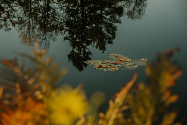 Photo Cozy atmosphere