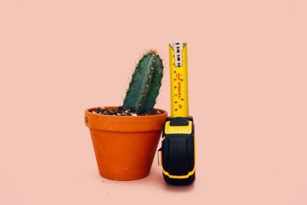 Photo Tape measure