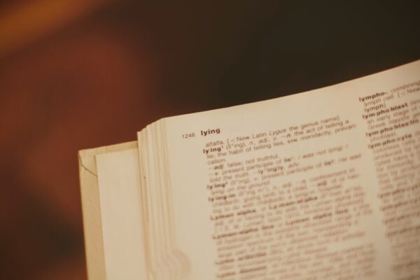 Photo Bulgarian dictionary