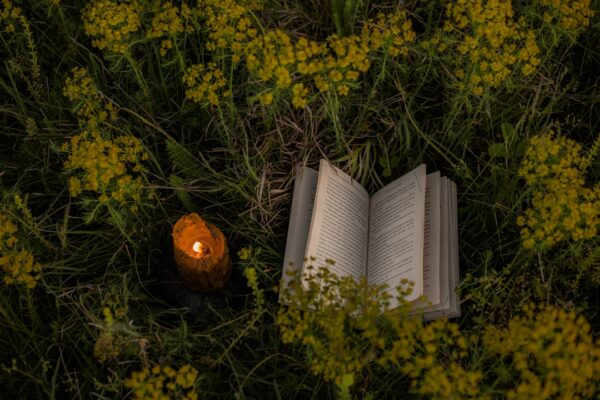 Photo Burning book