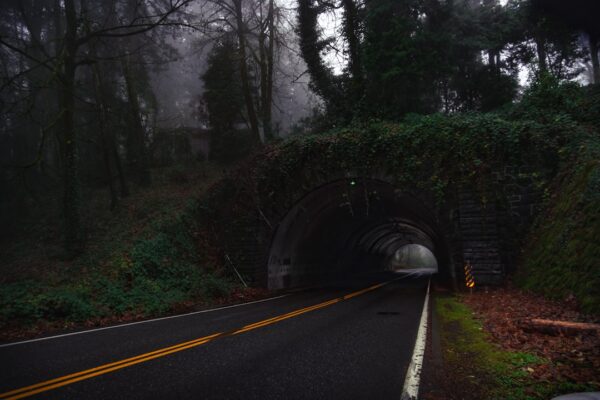 Photo Psychological thriller