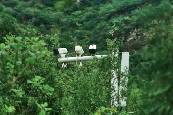 Photo Surveillance camera