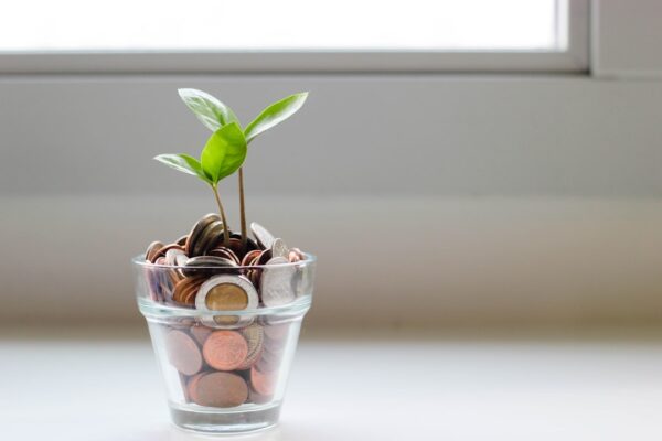Understanding Book Value: The Formula and Its Importance Photo Financial statement