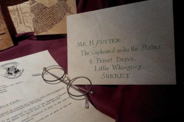 Creative Book Character Costumes for a Memorable Halloween Photo Harry Potter