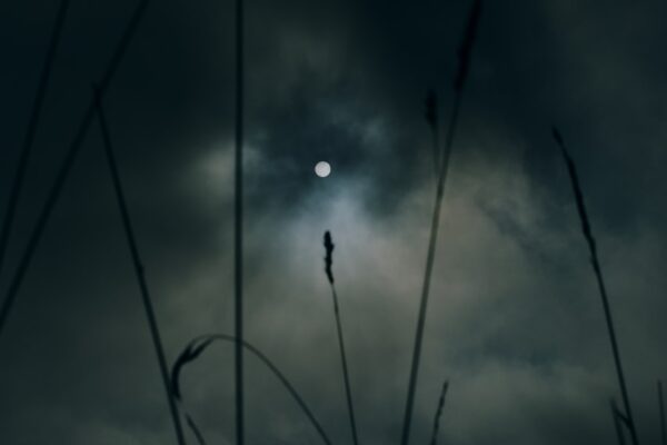 Photo Grim Reaper