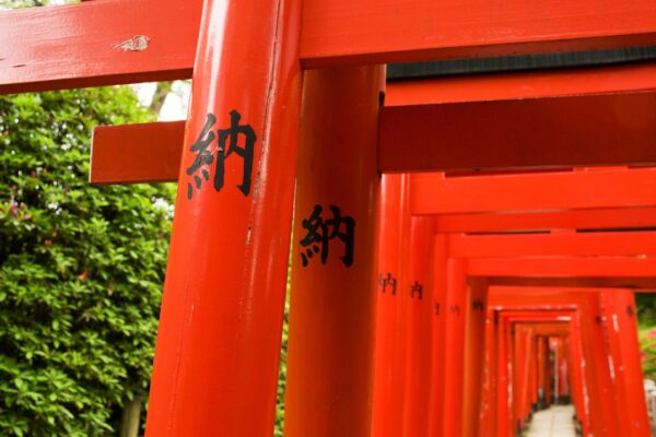 Photo Ancient symbols