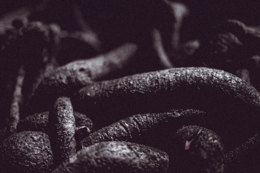 Photo Twisted plot