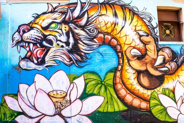 Photo Dragon illustration
